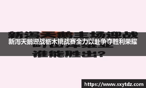 新泻天鹅迎战枥木挑战赛全力以赴争夺胜利荣耀